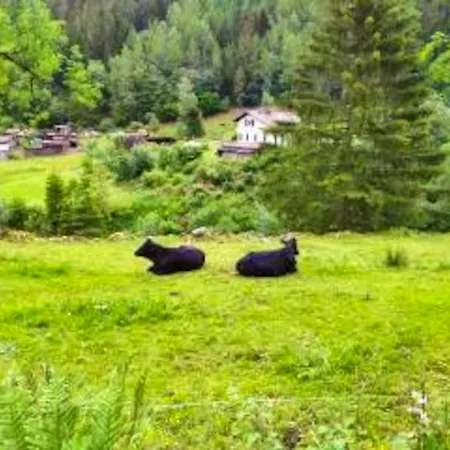 Maison Spacieuse A Avec Terrasse Et 4 *