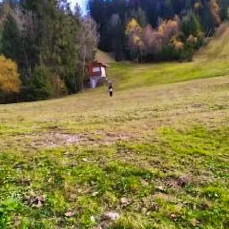 Vakantiehuis Maison Spacieuse A Avec Terrasse Et 4 Gérardmer